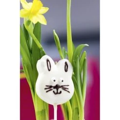 Städter Ausstechform Hasengesicht 6 Cm 5 Städter Ausstechform Hasengesicht 6 Cm -Kitchenaid Shop 201 080058 A03