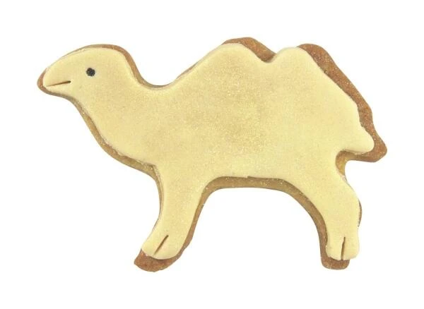 Städter Ausstechform Kamel 7,5 Cm 3 Städter Ausstechform Kamel 7,5 Cm – Bild 3