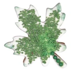 Städter Ausstechform Ahornblatt 8 Cm -Kitchenaid Shop 201 115156 A02