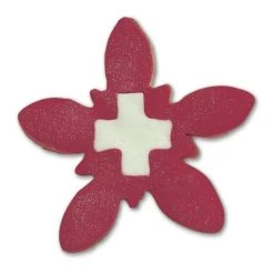 Städter Ausstechform Edelweiß Mit Kreuz ø 6,5 Cm -Kitchenaid Shop 201 200142 A02