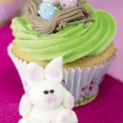 Städter Backform Osterhäschen Ø 5/7 Cm / H 3,5 Cm 50 Stück 13 Städter Backform Osterhäschen Ø 5/7 Cm / H 3,5 Cm 50 Stück -Kitchenaid Shop 201 336414 A03