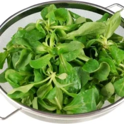 Lurch Standsieb Ø22cm